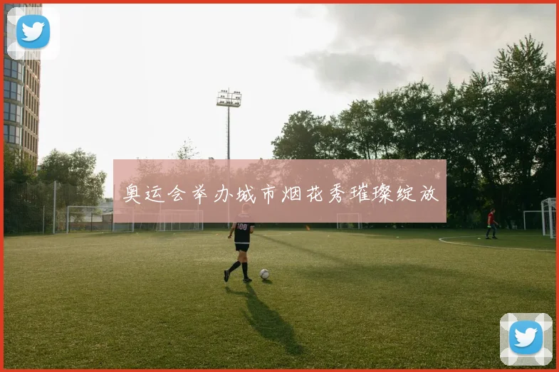 奥运会举办城市烟花秀璀璨绽放